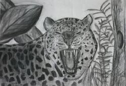 Pintando en las dos orillas Pintando en las dos orillas